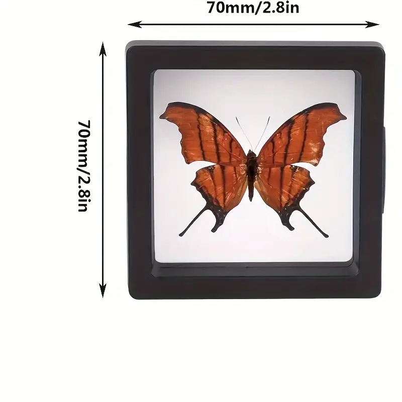 20 pçs clearview 3d flutuante  - Display Case Acrylic avaliação e preço